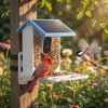 Smart Bird Feeder with Camera and Solar Power